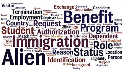 Immigration Word Cloud