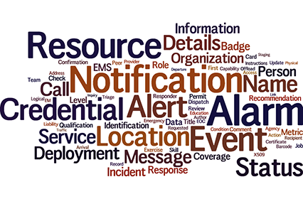 Emergency Management Word Cloud